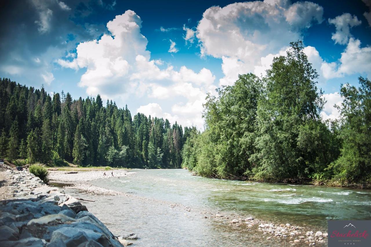 Stachelisko - Domki I Pokoje Chocholow Exterior foto
